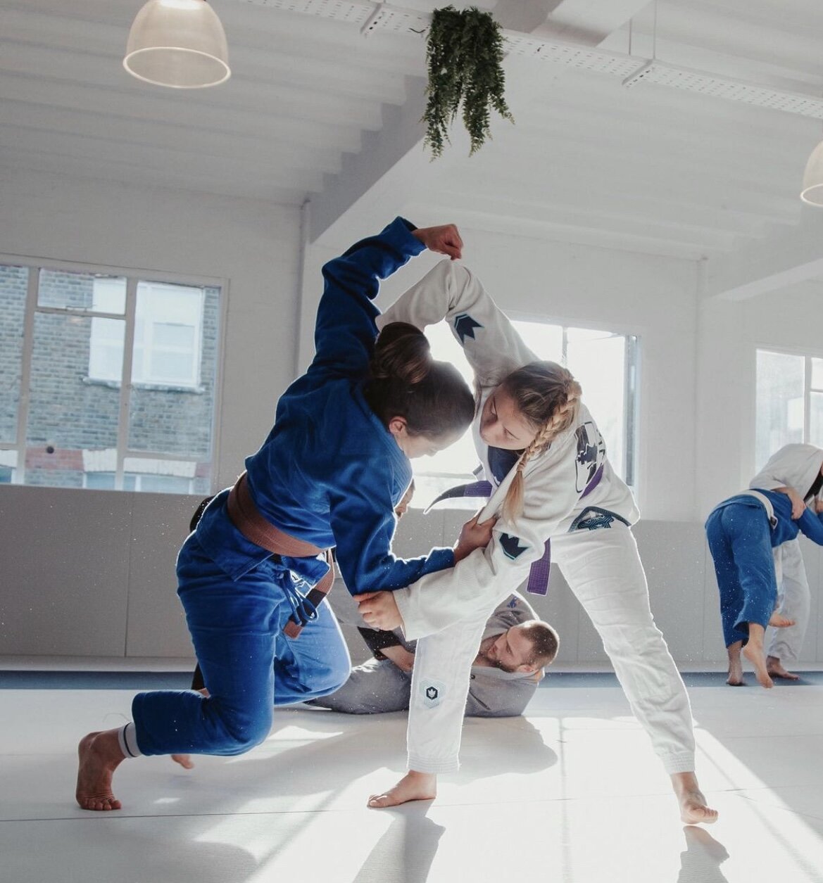 Bjj-drakter for nybegynnere