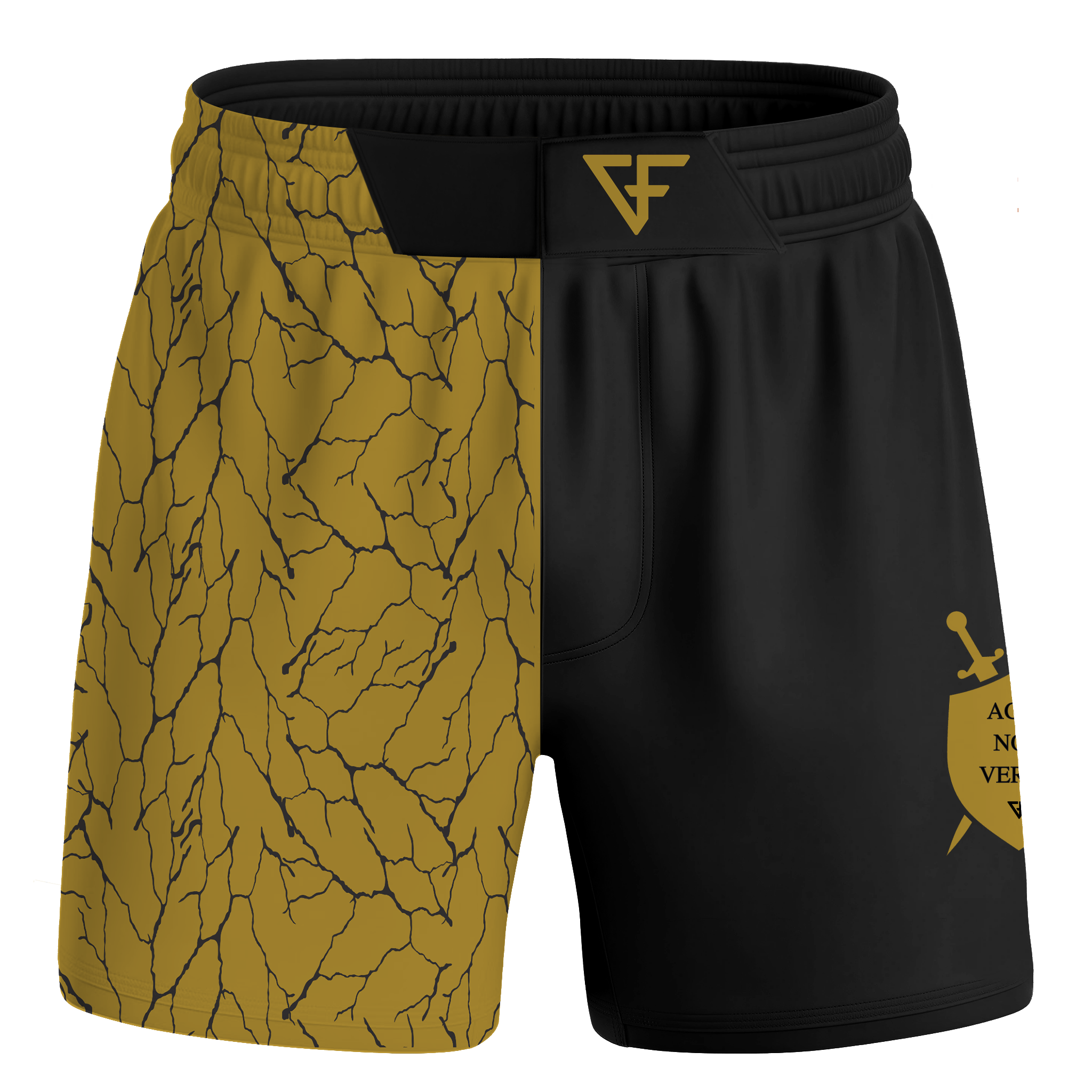 ANV V2 Shorts