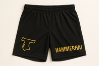 Hammerhai RELOADED Lightweight Shorts for Kampsport